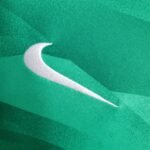 Paris Saint-Germain Torwart Trikot Langarm 2023-2024 - Grün