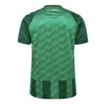 Werder Bremen Home Trikot 2024-2025 - Grün