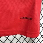 SL Benfica Home Trikot 2025-2026 - Rot