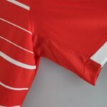 Heimtrikot 2022-2023 ( Aufdruck Dein Name )