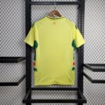 Wales Away Trikot 2024-2025
