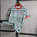 Nigeria Sondertrikot 2023-2024 - Weiß