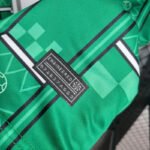 Nigeria Home Sonderausgabe Trikot 2024-2025 - Grün