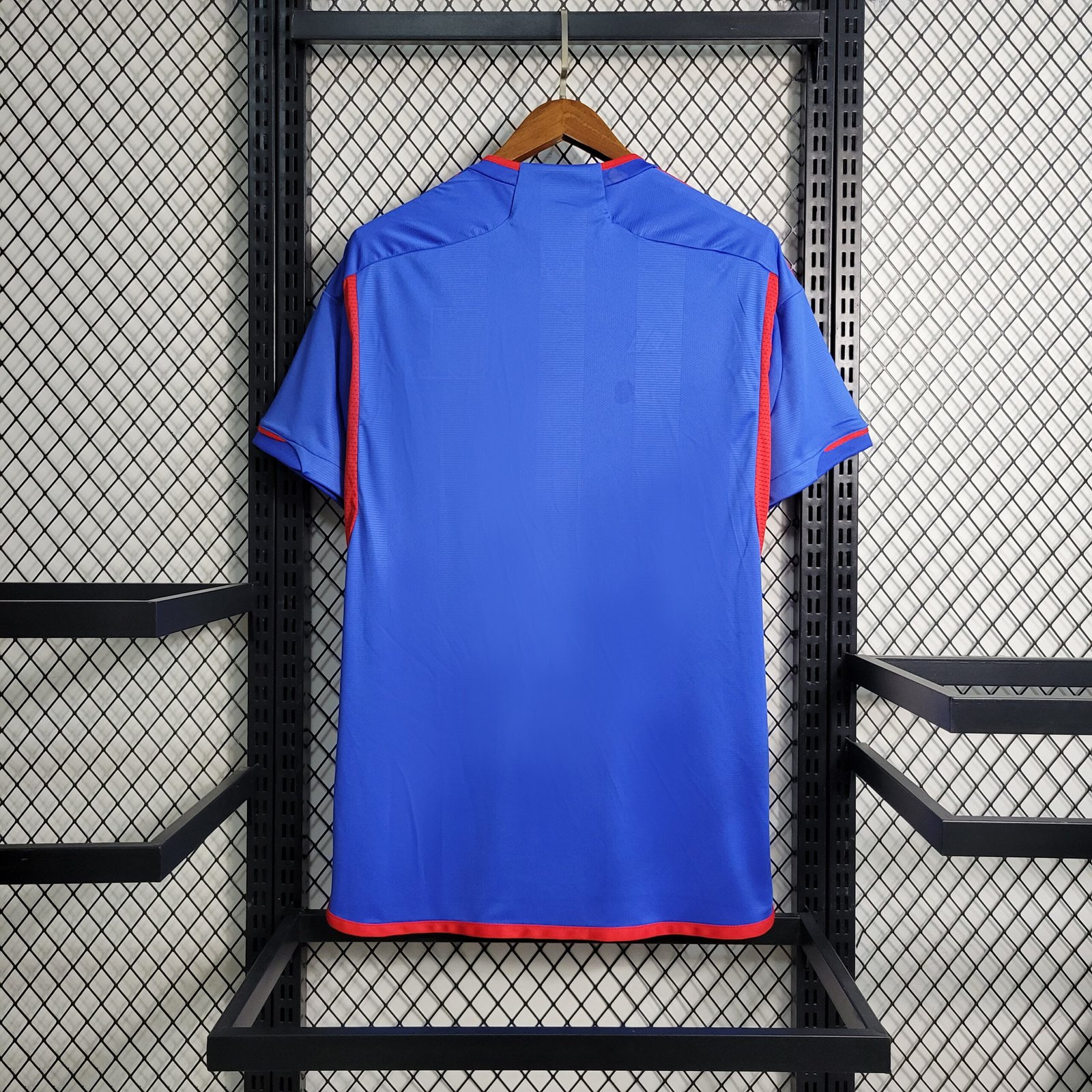 Olympique Lyonnais Away Trikot 2023-2024 - Blau Olympique Lyonnais Away Trikot 2023-2024 - Blau