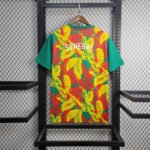 Senegal Per-Match Trainingsshirt 2024-2025