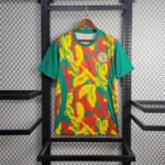 Senegal Per-Match Trainingsshirt 2024-2025