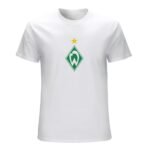 Werder Bremen Core Stretch Slim Cneck Gildan Tee T-Shirt Herren