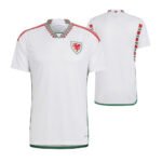 Wales Away Trikot WM 2022