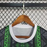 Nigeria Sondertrikot 2023-2024 - Grün