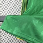 Glasgow Celtic Langarm Limitierte Sondertrikot 2024-2025