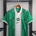 Nigeria Home Sonderausgabe Trikot 2024-2025 - Grün