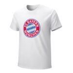 FC Bayern München Core Stretch Slim Cneck Gildan Tee T-Shirt Herren