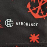 Flamengo Vor dem Spiel Trikot 2022-2023