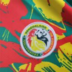 Senegal Per-Match Trainingsshirt 2024-2025