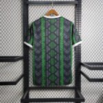 Nigeria Sondertrikot 2023-2024 - Grün