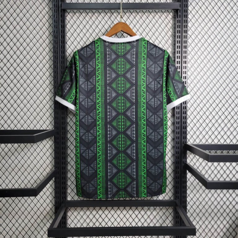 Nigeria Sondertrikot 2023-2024 - Grün