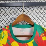 Senegal Per-Match Trainingsshirt 2024-2025