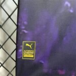 Manchester City Konzept Sondertrikot 2025-2026 - Lila