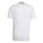 Ajax Third UCL Trikot 2024-2025 - Grau
