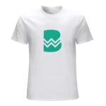 Werder Bremen Core Stretch Slim Cneck Gildan Tee T-Shirt Herren