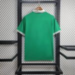 Nigeria Home Sonderausgabe Trikot 2024-2025 - Grün