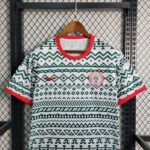 Nigeria Sondertrikot 2023-2024 - Weiß