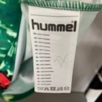 Werder Bremen Sonderausgabe Trikot 2023-2024 - Grün