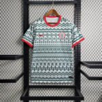 Nigeria Sondertrikot 2023-2024 - Weiß