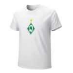 Werder Bremen Core Stretch Slim Cneck Gildan Tee T-Shirt Herren