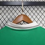 Nigeria Home Sonderausgabe Trikot 2024-2025 - Grün