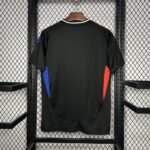 Olympique Lyonnais Away Trikot 2024-2025