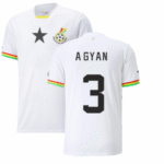 Ghana Asamoah Gyan 3 Home Trikot WM 2022