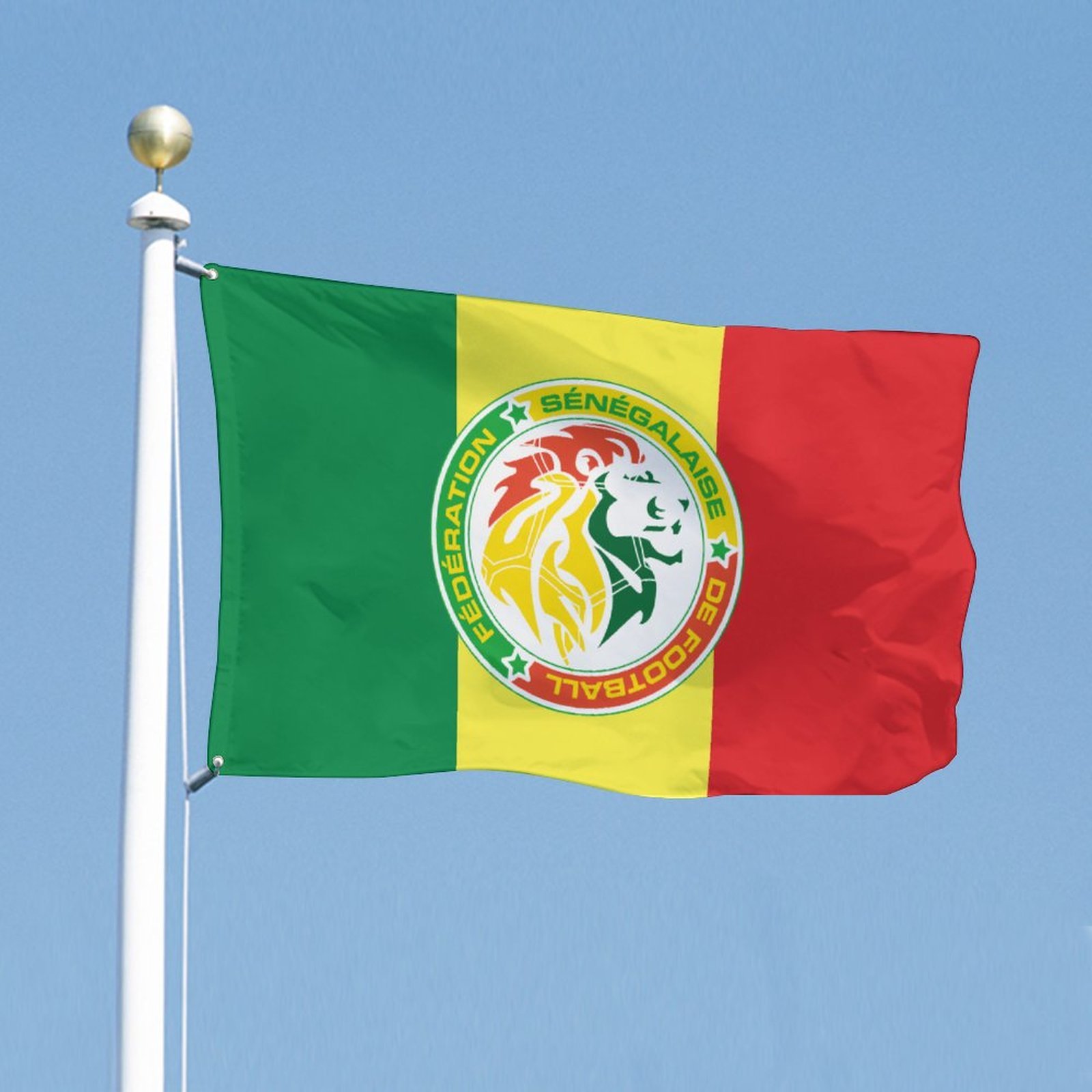 Senegal Fahne Flagge - Garten Flagge Senegal Fahne Flagge - Garten Flagge