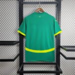 Senegal Away Trikot 2024-2025