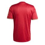 FC Bayern München 125-jähriges Jubiläum Sondertrikot 2024-2025 - Rot