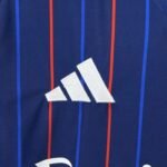 Olympique Lyonnais Away Trikot 2025-2026