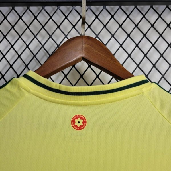 Wales Away Trikot 2024-2025