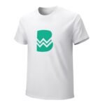 Werder Bremen Core Stretch Slim Cneck Gildan Tee T-Shirt Herren