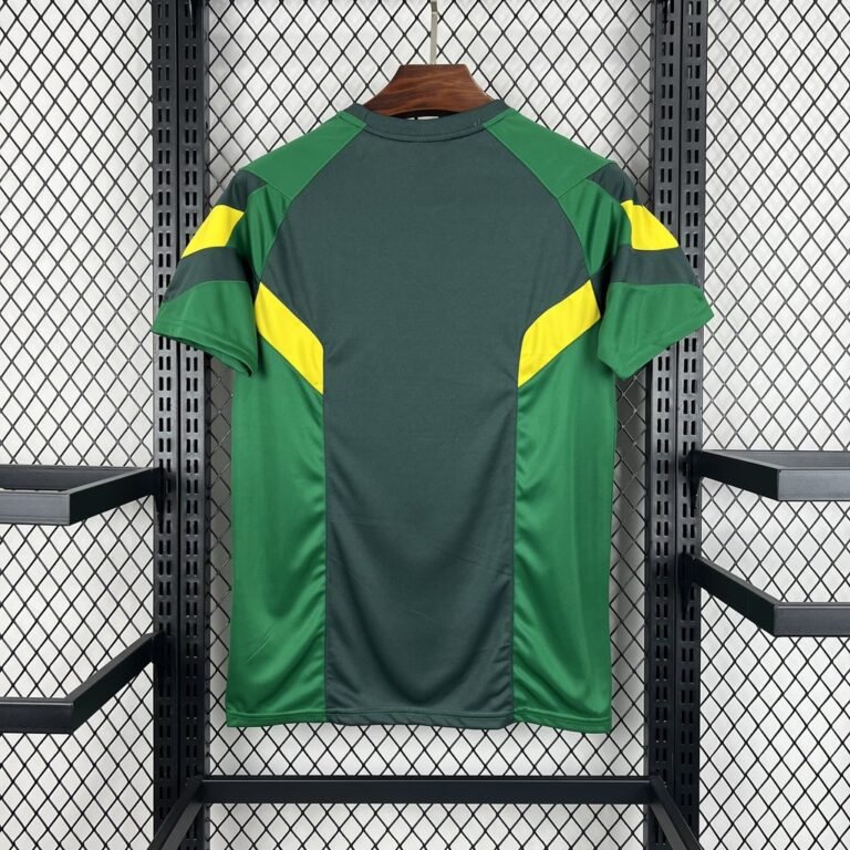 Glasgow Celtic Limitierte Sondertrikot 2024-2025