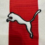 26/27 PSV Eindhoven Home Soccer Jersey – Ansicht 5